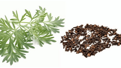 القرنفل و wormwood للقضاء على الطفيليات من الجسم