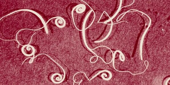 صور الطفيليات البشرية